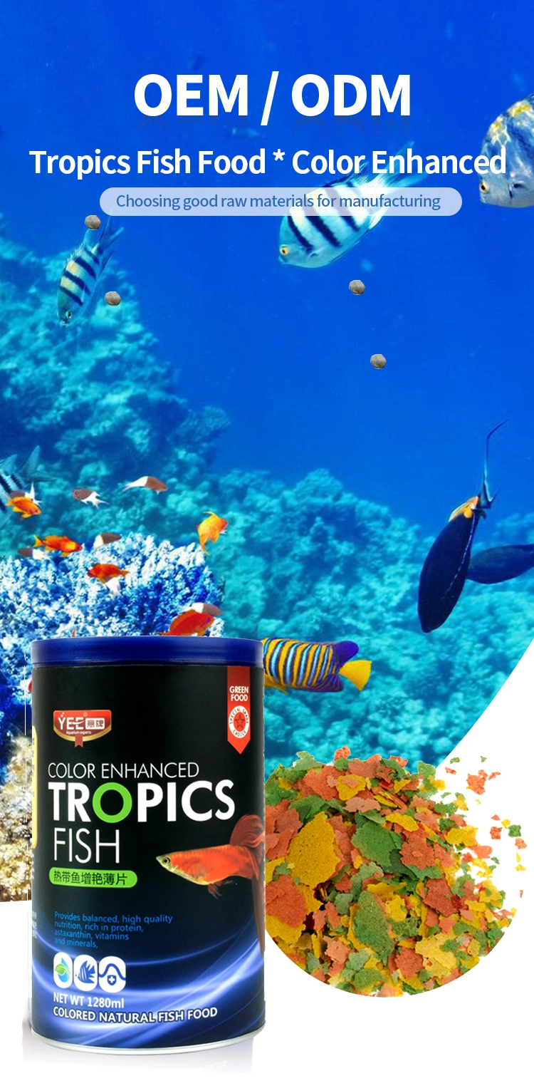 Tropical Ornamental Farm Feed Fish Food High Nutritional Goldfish Betta Fish Food